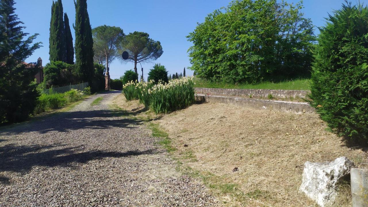 Dago * Siena