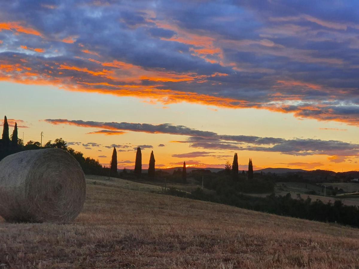 Dago * Siena