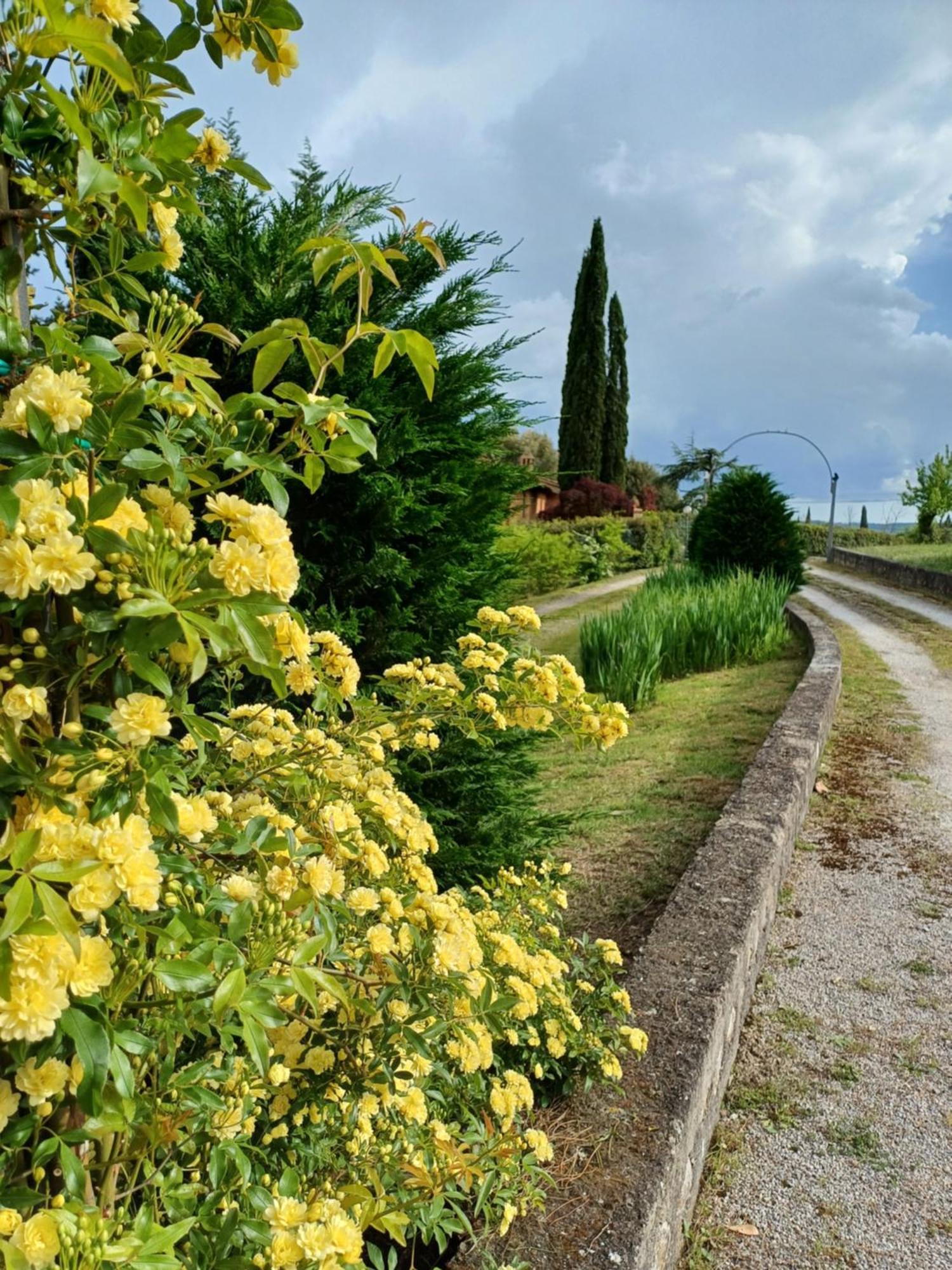 Bed & Breakfast Dago Siena