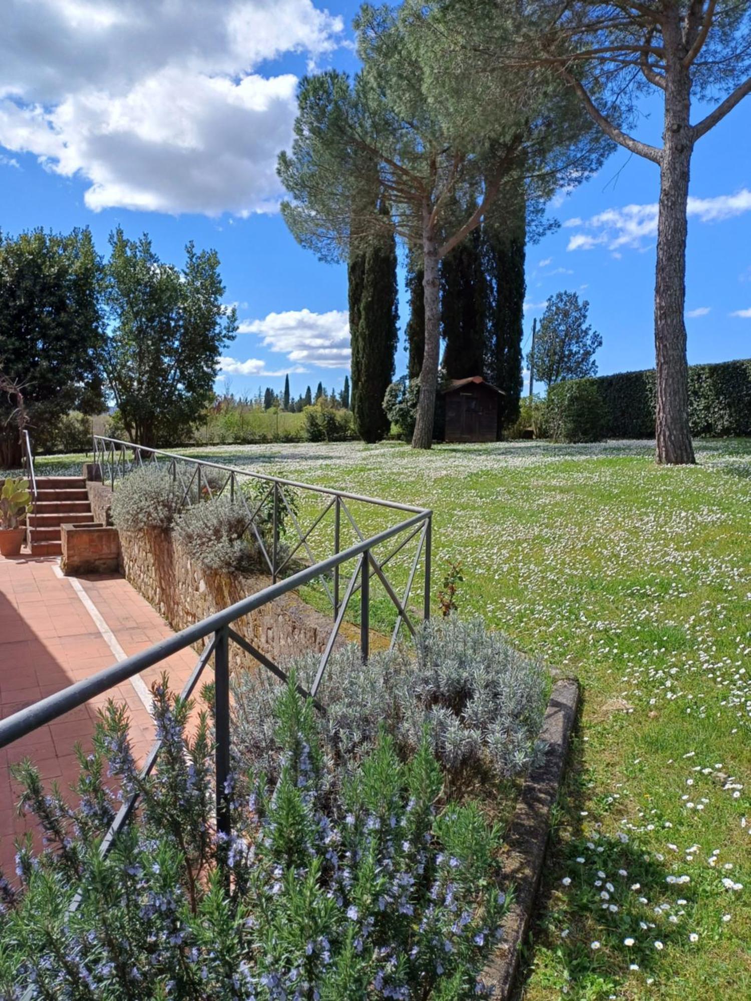 Dago * Siena